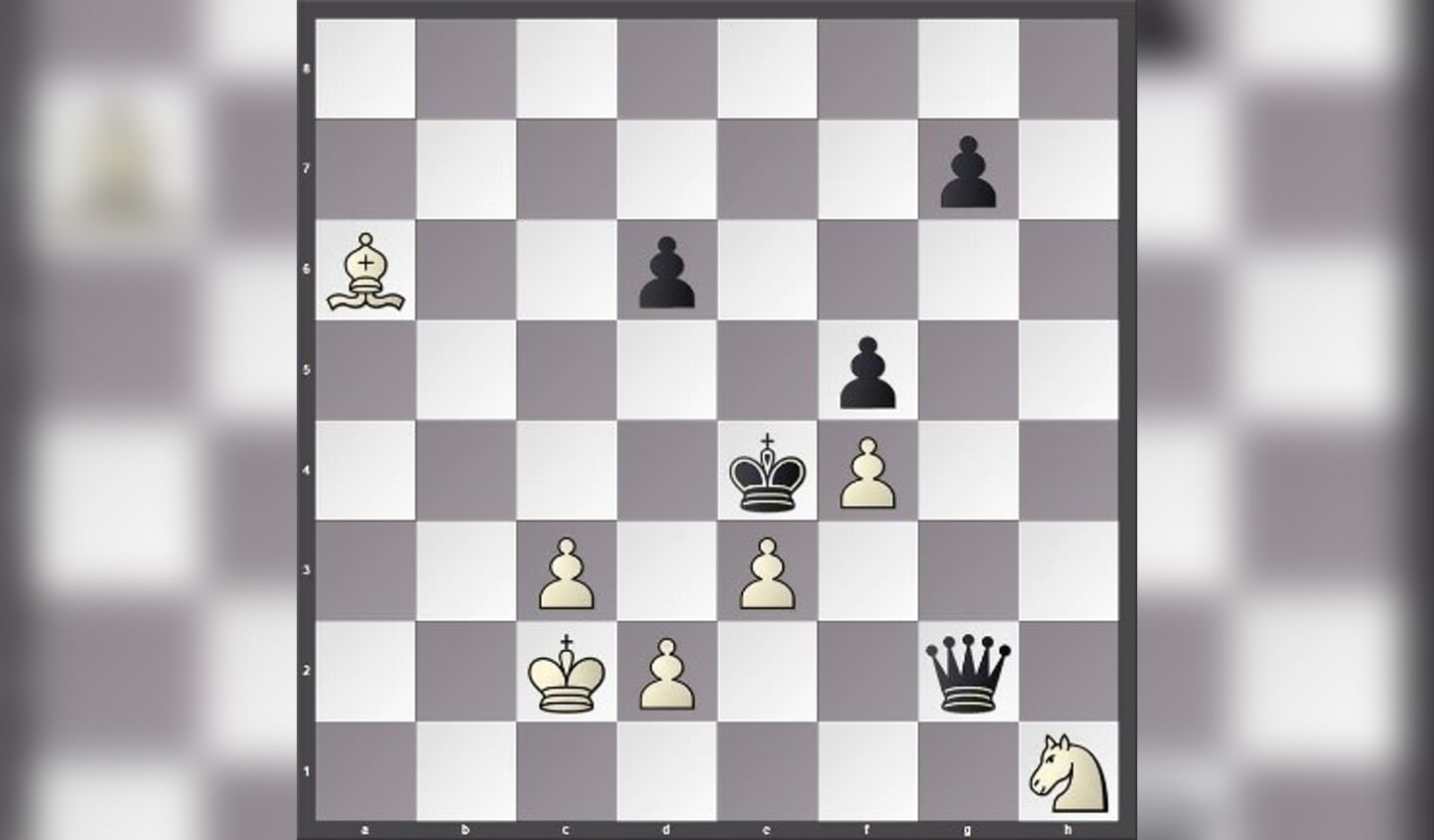 schaakprobleem 2