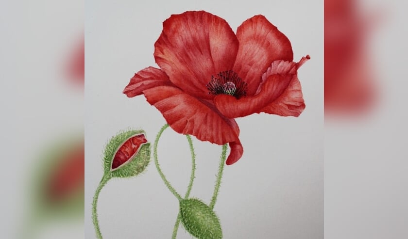 <p>Werk van Magda Bastiaanse</p>