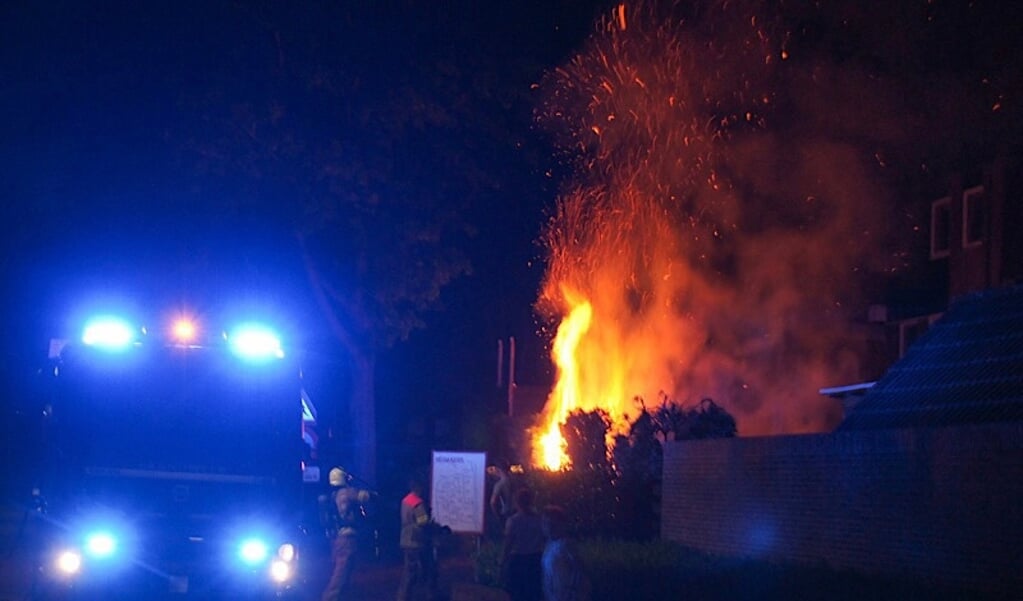Nachtelijke brand in een coniferenhaag aan de Tulp in Hoogerheide.