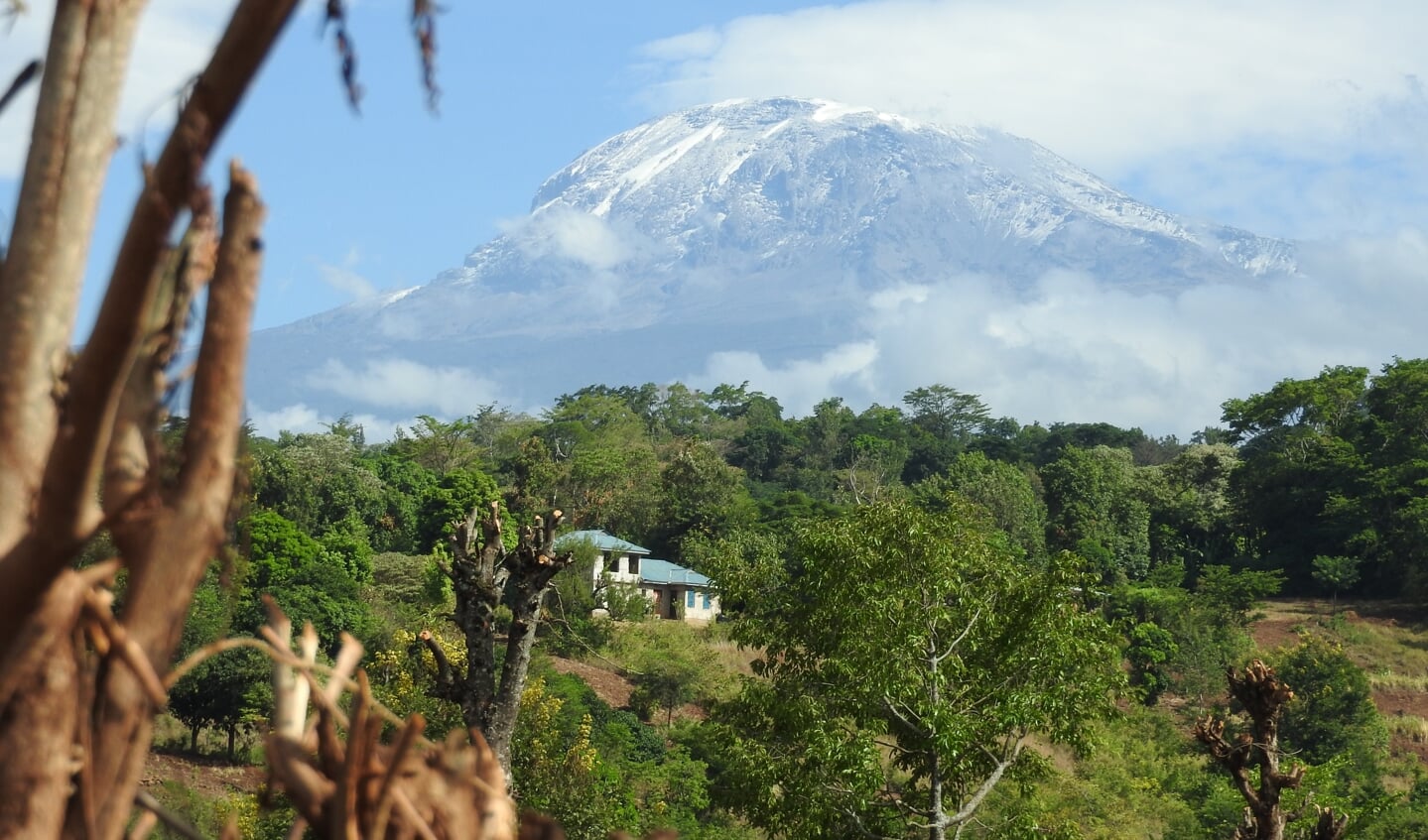 Mount Kilimanjaro (5895 m)