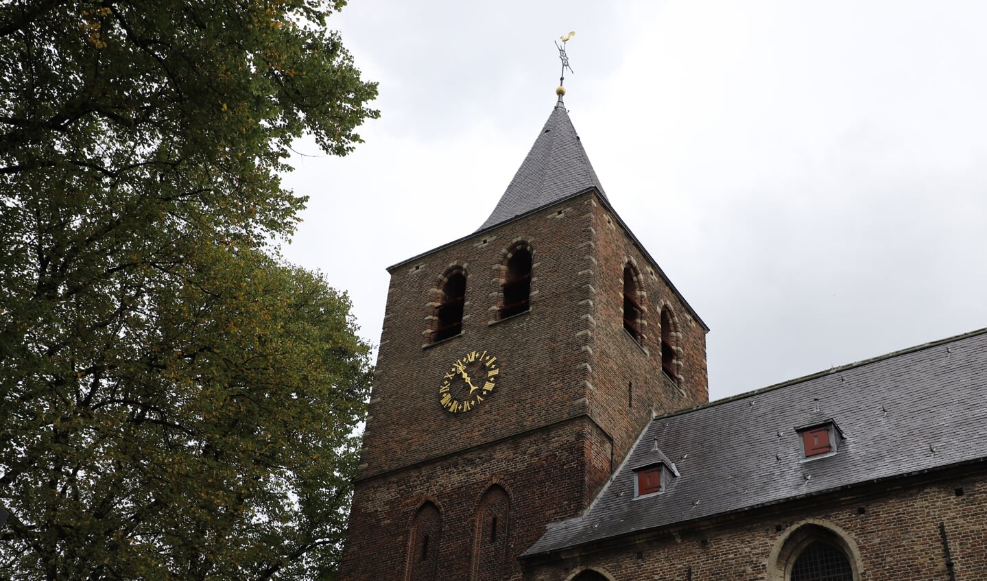 Carillon Martinuskerk