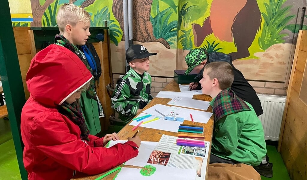 Geslaagd Feest Bij Scouting Ossendrecht - Het Nieuws Uit Halsteren En ...