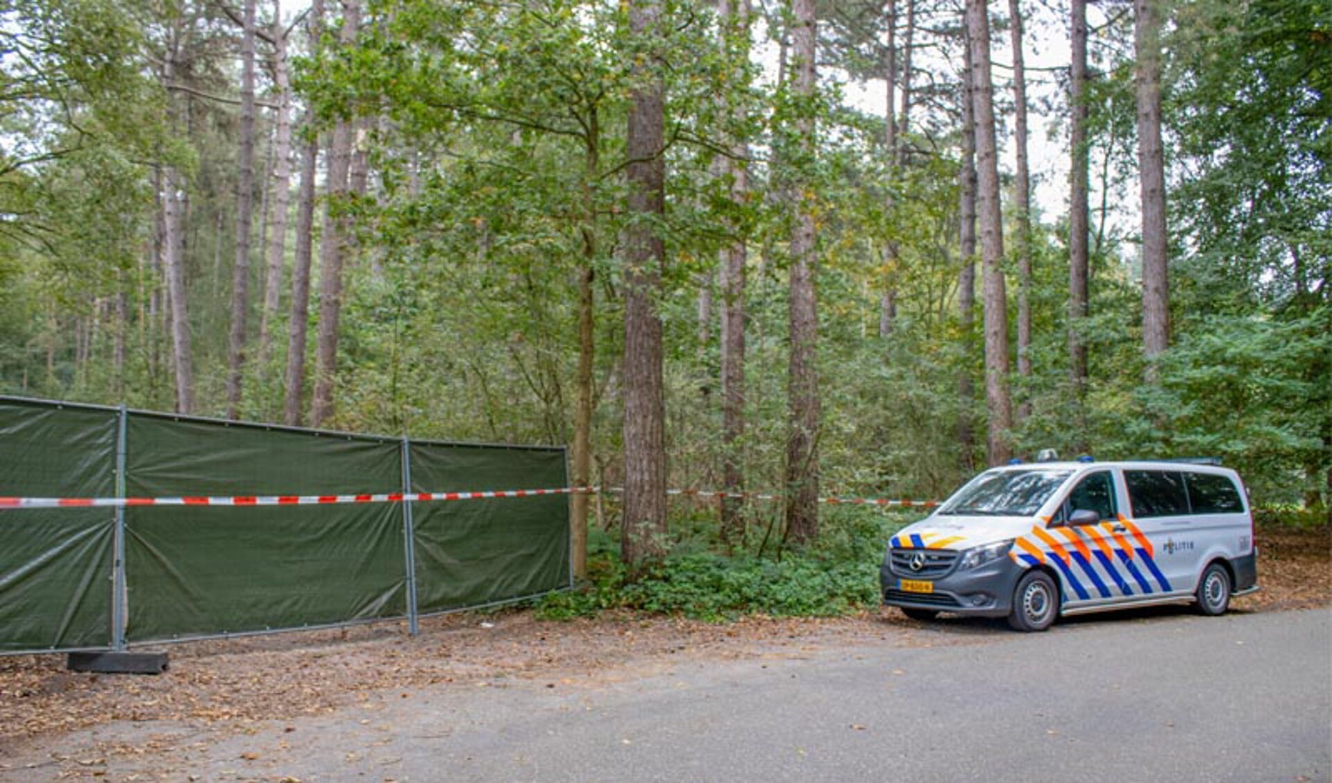 Man (31) Opgepakt Vanwege Moord Op 75-jarige Vrouw Uit Halsteren - Het ...