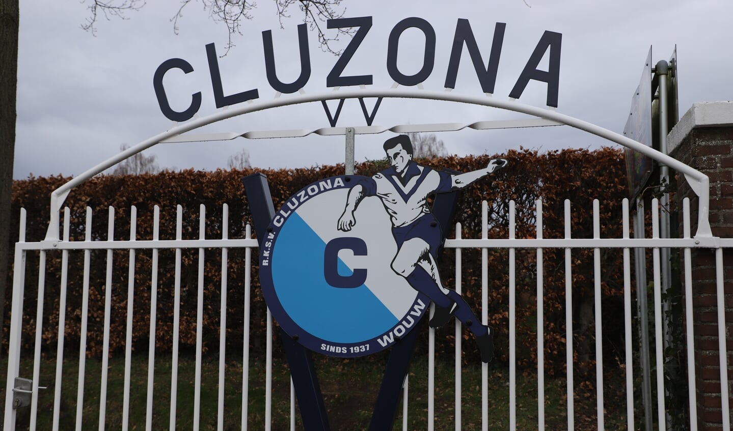 Cluzona
