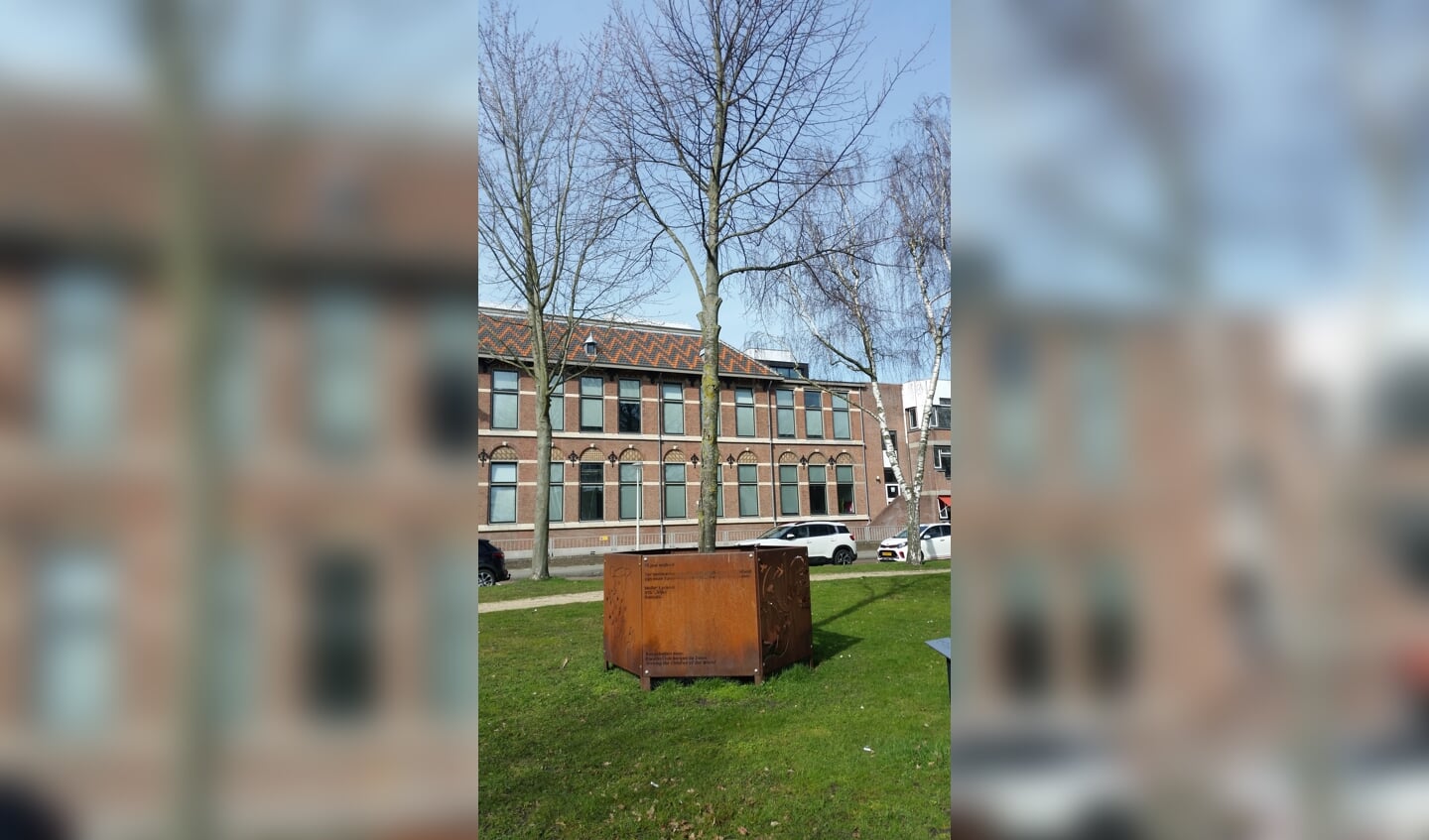 Koningsboom Bergen op Zoom