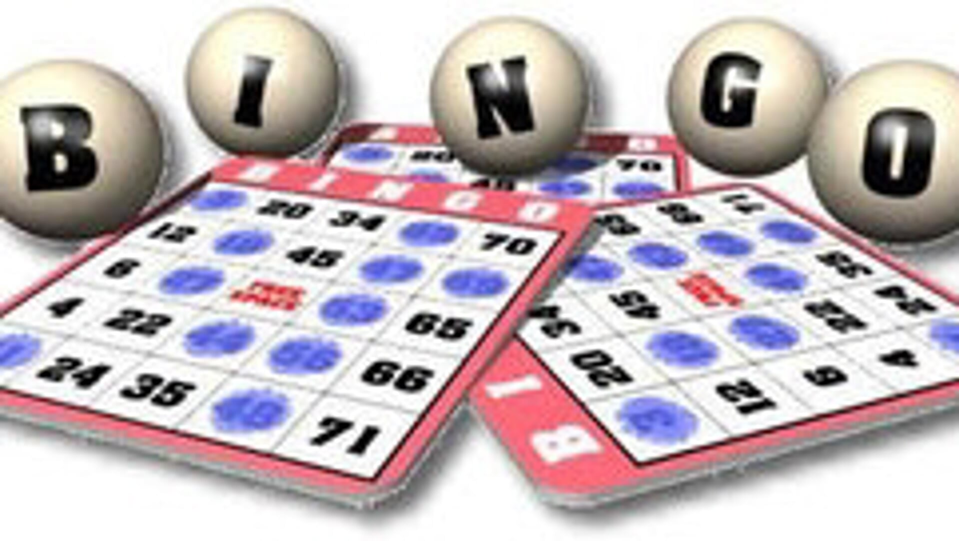 Bingo