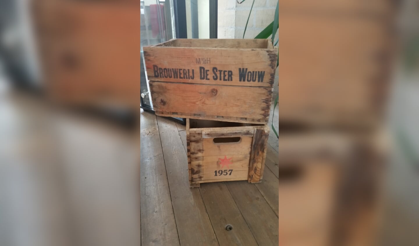 Antieke bierkisten De Ster Wouw