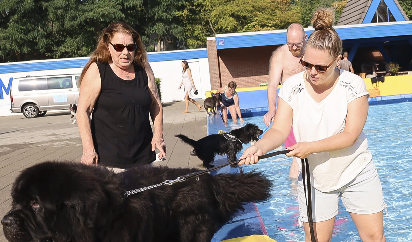 Sommige honden hebben geen interesse.