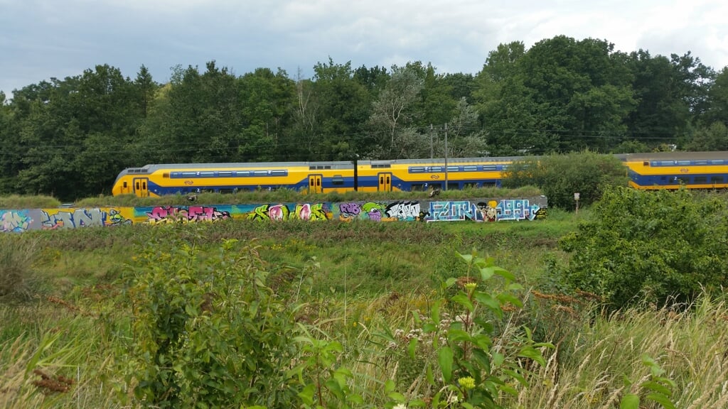 Legale graffiti muur op de voormalige stortplaats langs de spoorlijn Bergen op Zoom-Roosendaal. 