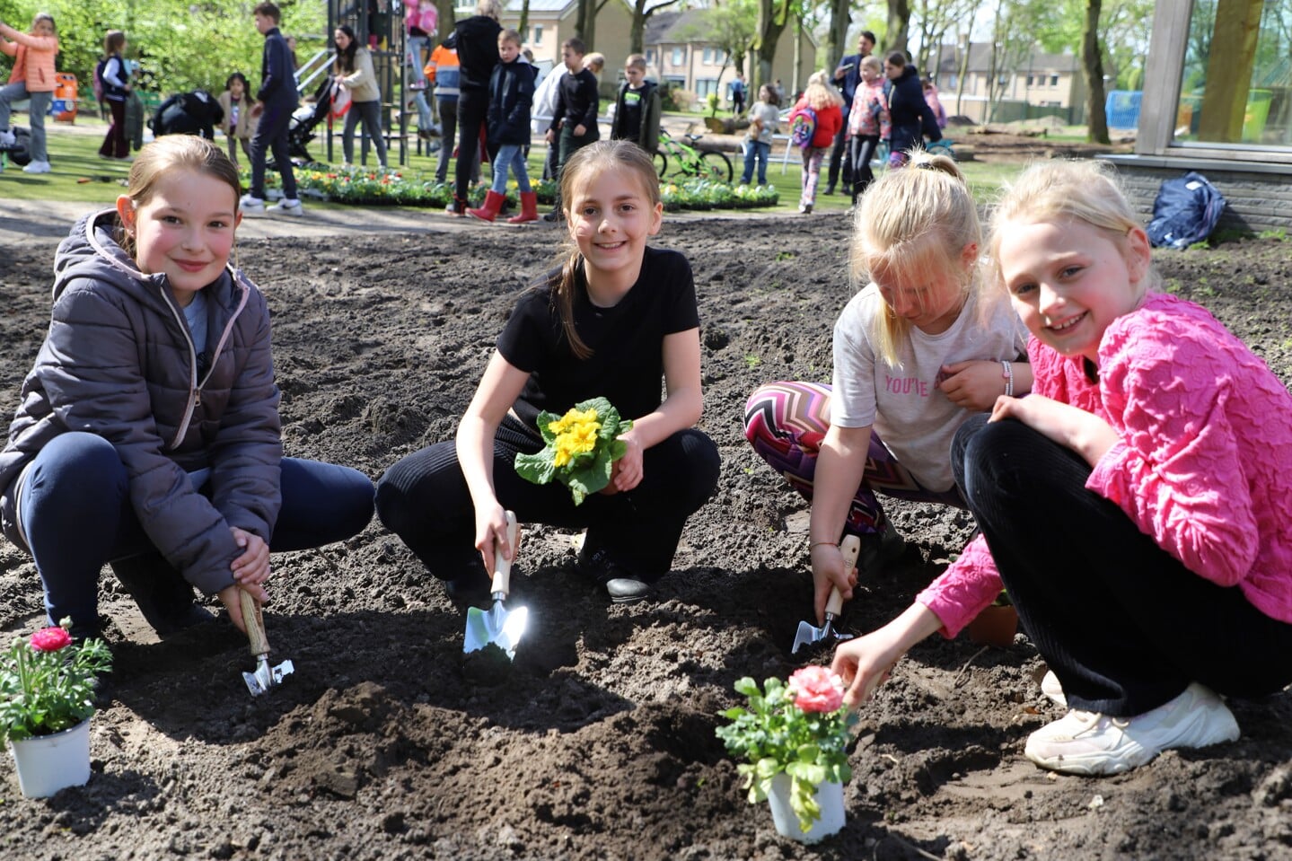 Plantactie in het Groene Hart door leerlingen van basisschool De Biezenhof. 