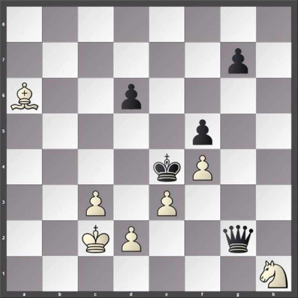 schaakprobleem