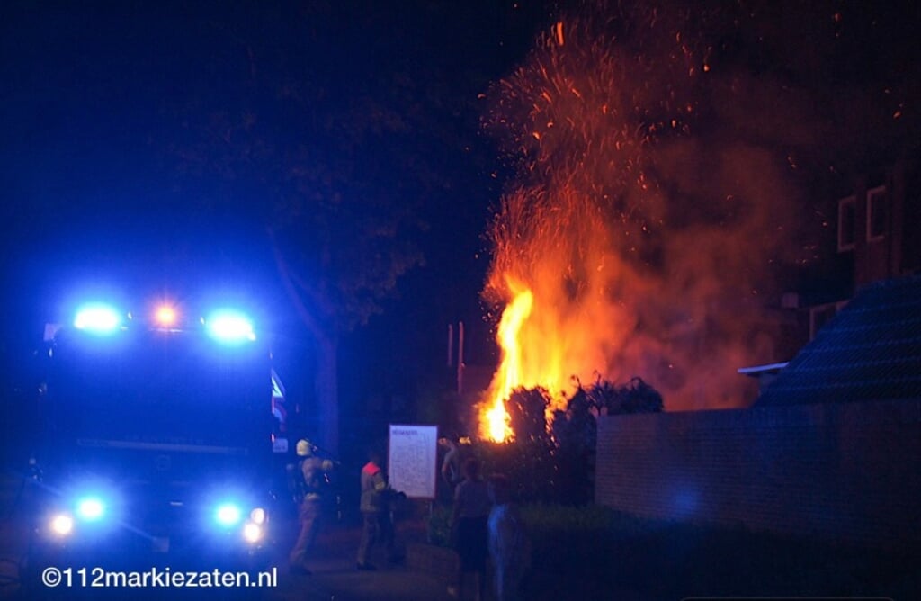 Nachtelijke brand in een coniferenhaag aan de Tulp in Hoogerheide waarbij de brandweer overslaan van vuur wist te voorkomen.