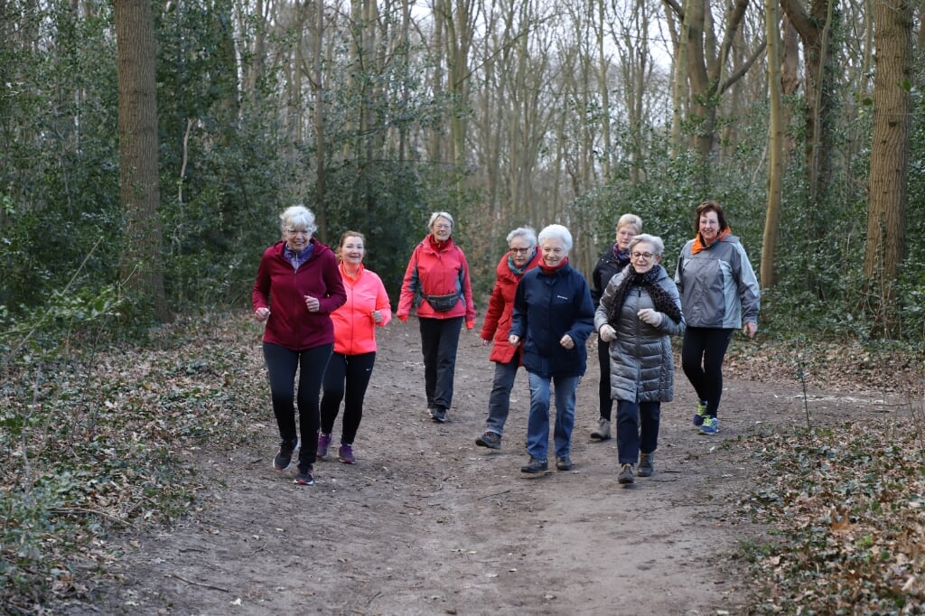 Dames loop- en wandelgroep op donderdagochtend in het bos bij Sportpark De Beek.