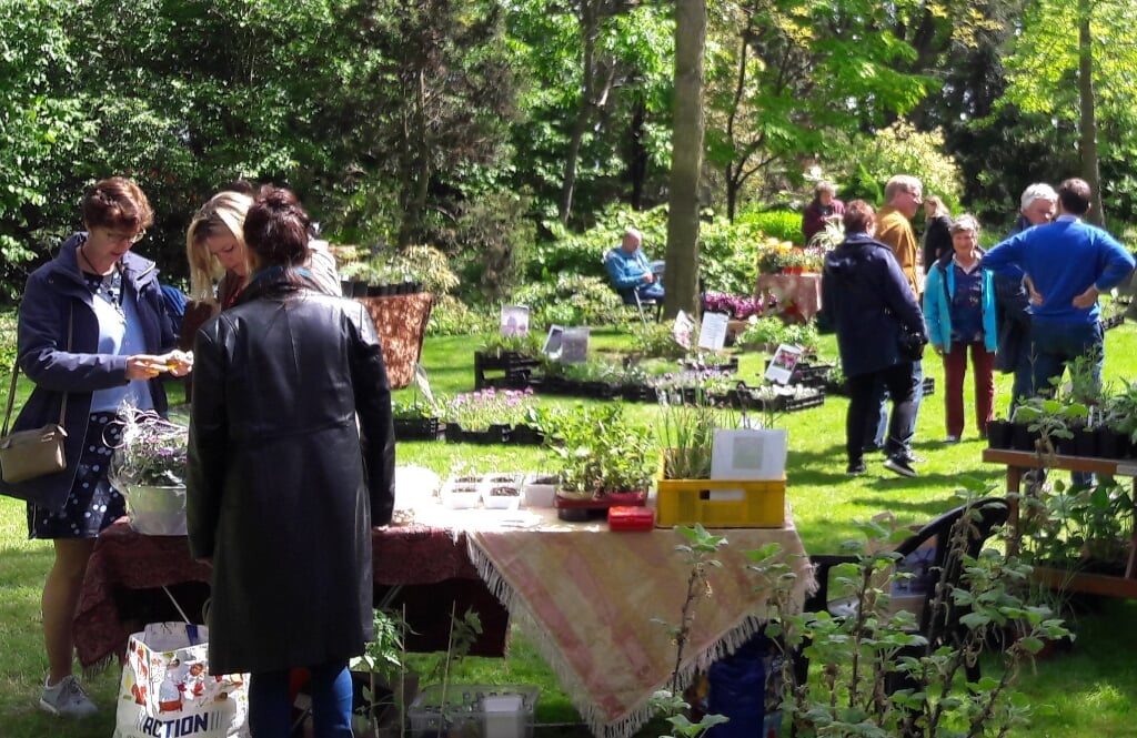 Plantenmarkt op de Hertgang