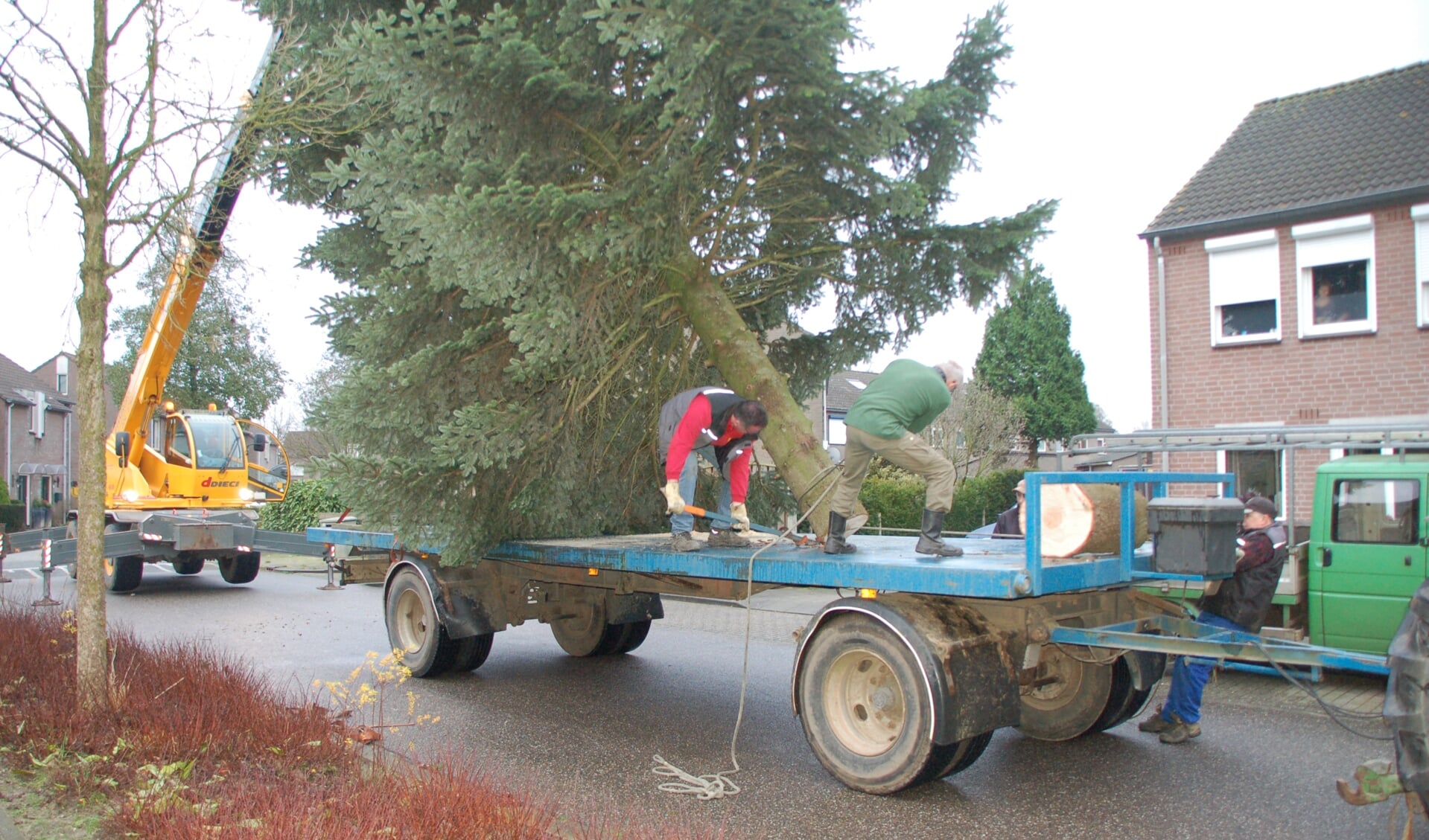 Kerstbomen kunnen in de gemeente Gennep ingeleverd worden tot en met 11 januari.