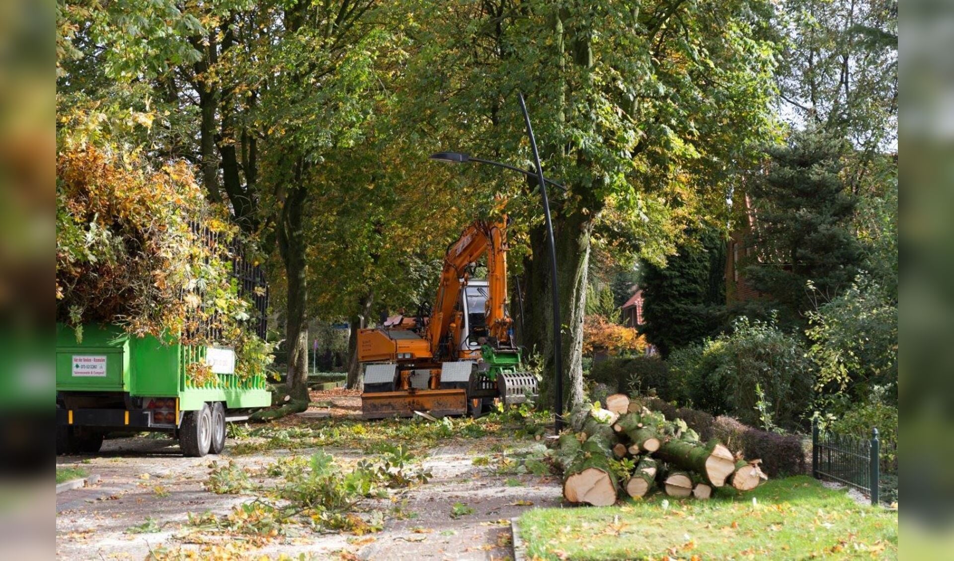 Een stroom aan klachten heeft voorkomen dat de gemeente Cuijk zo'n 140 bomen gaat kappen. (foto: Albert Hendriks)