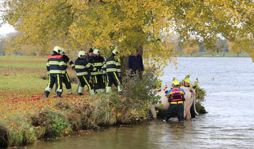 Foto: SK-Media.