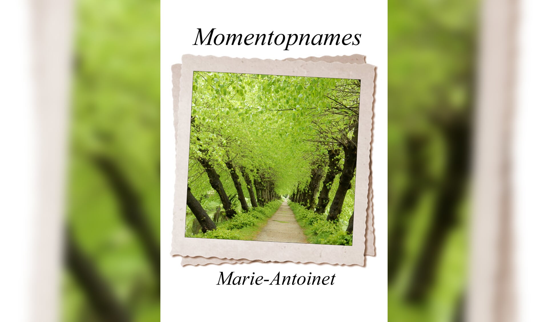 'Momentopnames' is de dichtenbundel van de Hapse schrijfster Antoinet Reijs.
