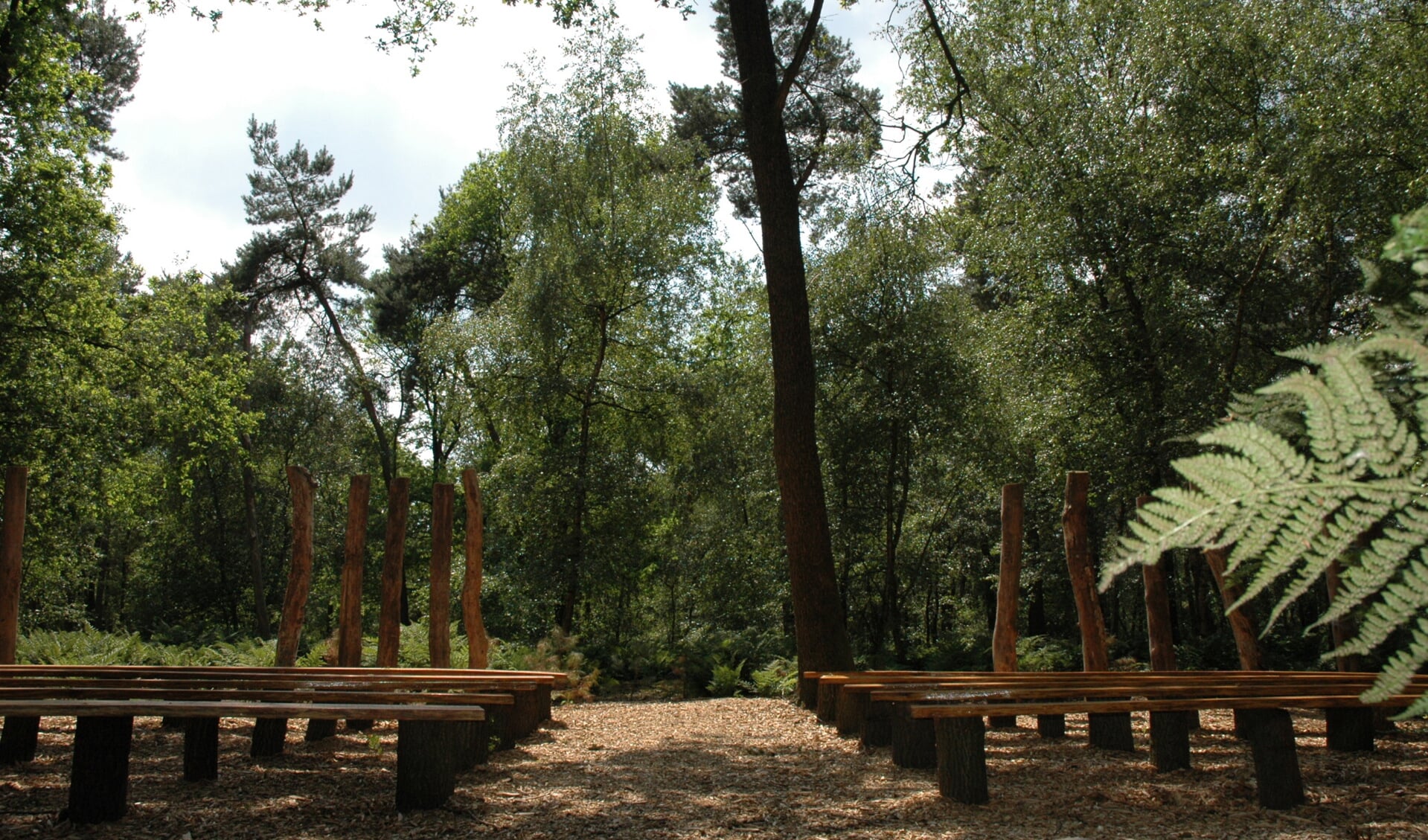 Natuurbegraafplaats Weverslo in Heide.