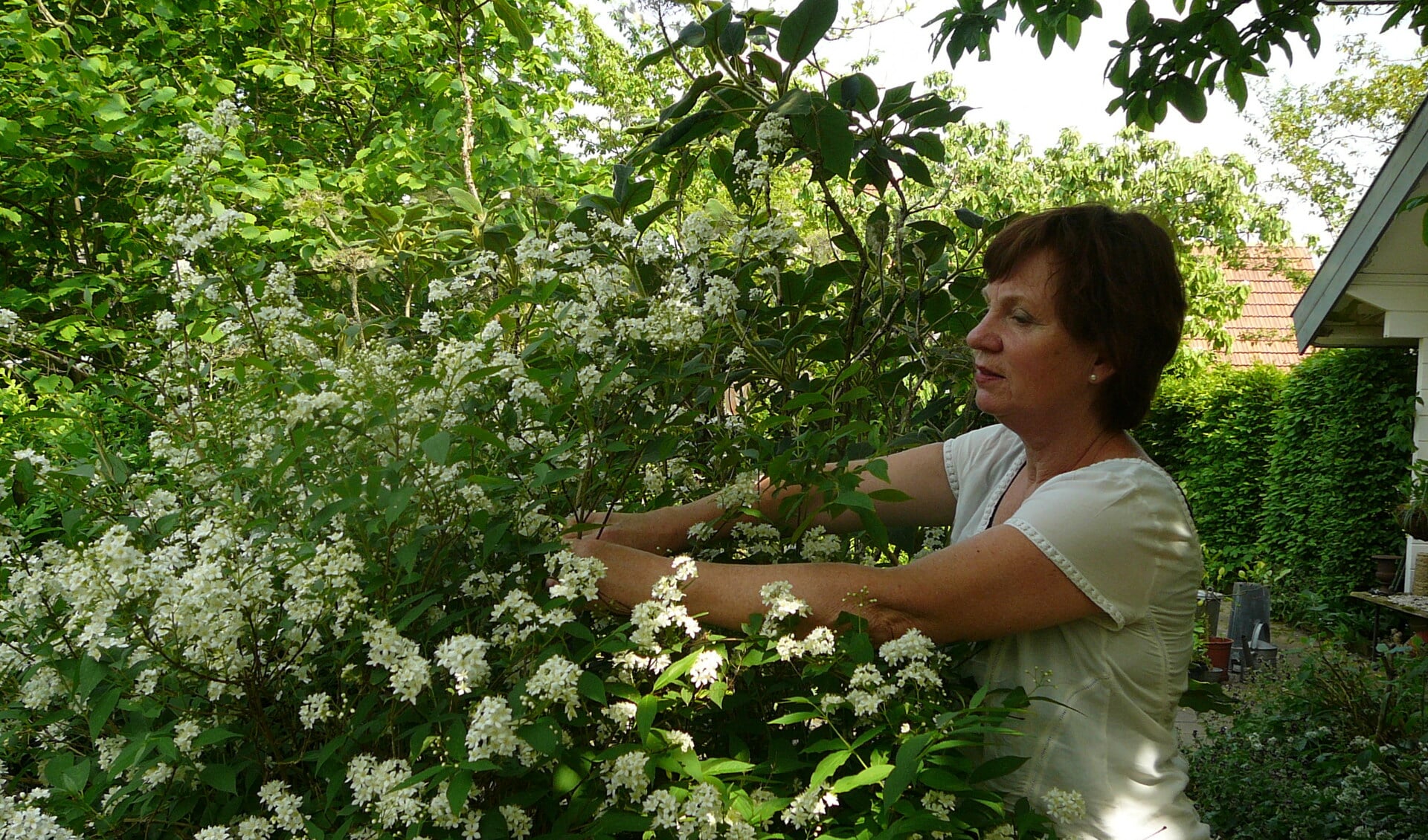 Borderbeplanting is de specialiteit van Jeanne van Rijs. (foto: Dorry Smeets)