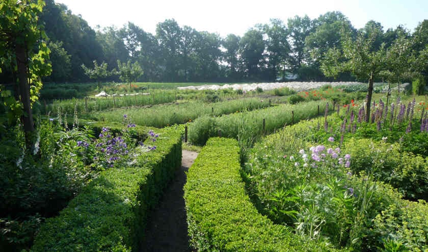 Lezing over natuurlijk tuinieren in bieb van Sint Anthonis.