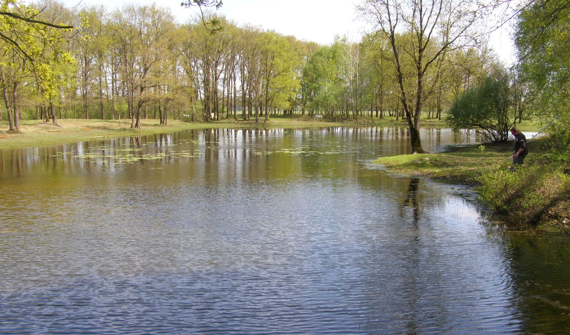 De Broekse Wielen, een natuurgebied net buiten Gassel.