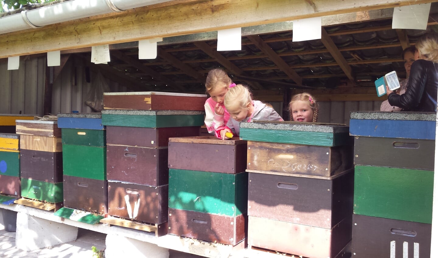 De kinderen mochten honing proeven, slingeren en kaarsen maken van bijenwas. 