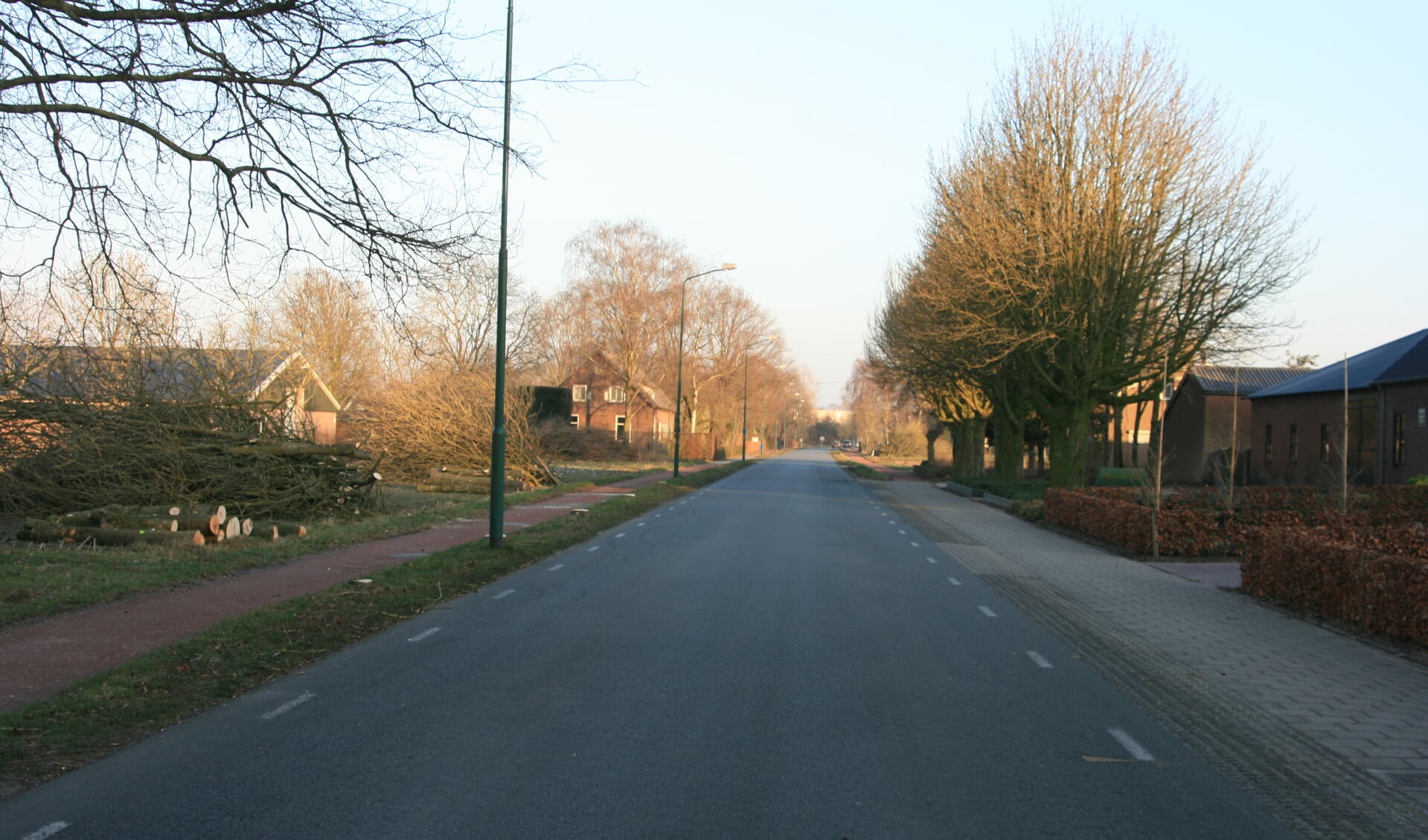 Langs de Hoogeindsestraat in Rijkevoort en Rijkevoortseweg in Boxmeer worden 366 bomen weggehaald.