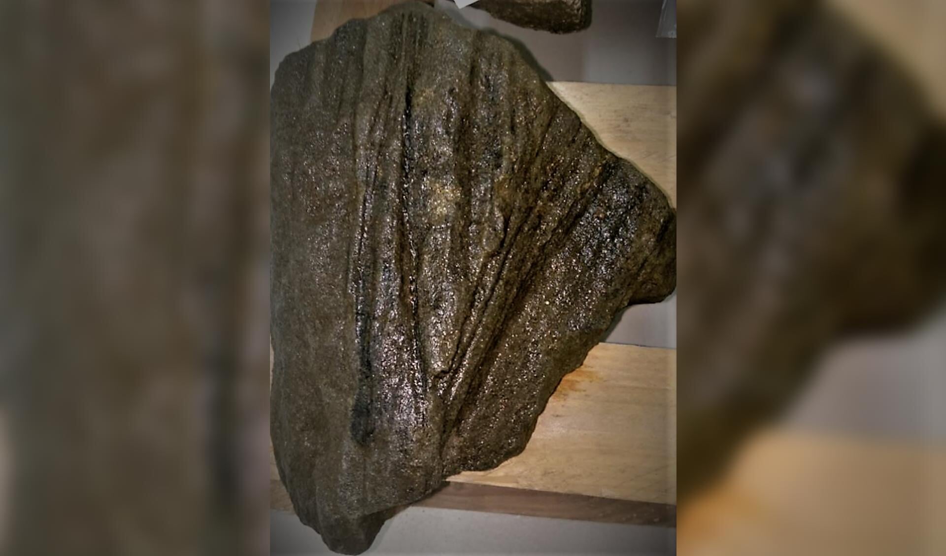 Deze steen die naar boven is gehaald is waarschijnlijk een fragment van een Romeins beeldhouwwerk. 