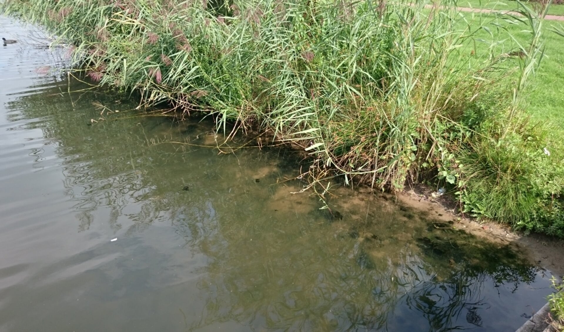 Algemene Waterschapspartiij: Waterkwaliteit oppervlaktewater is nauwelijks verbeterd.