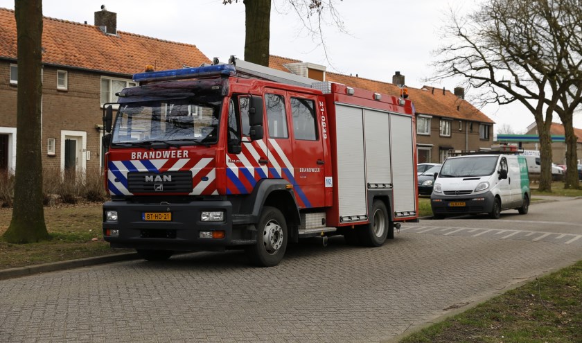 Kat in spouwmuur aan de Guldengaarde in Cuijk. (foto: SK-Media)