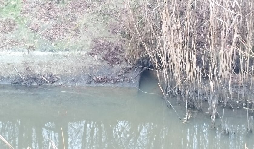 Beverhol bij de Tochtsloot in Gassel. (foto: Aa en Maas)