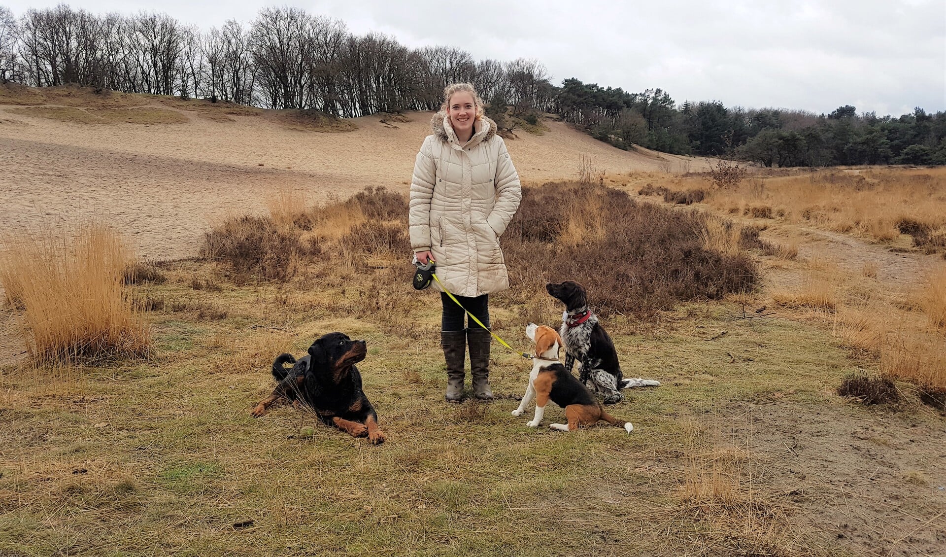 'Als ik een groep honden uitlaat, ga ik naar een losloopgebied en wandel ik daar een uur met ze'