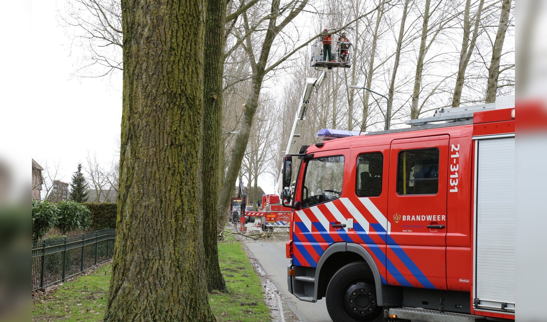 (Foto: Maickel Keijzers / Hendriks multimedia)