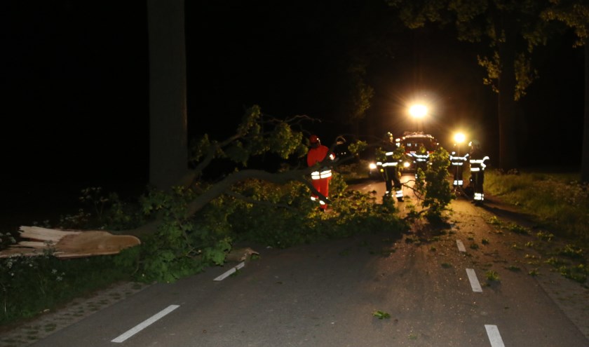 Een grote tak blokkeerde afgelopen nacht lange tijd de Graafsedijk bij Beers. (foto: SK-Media)