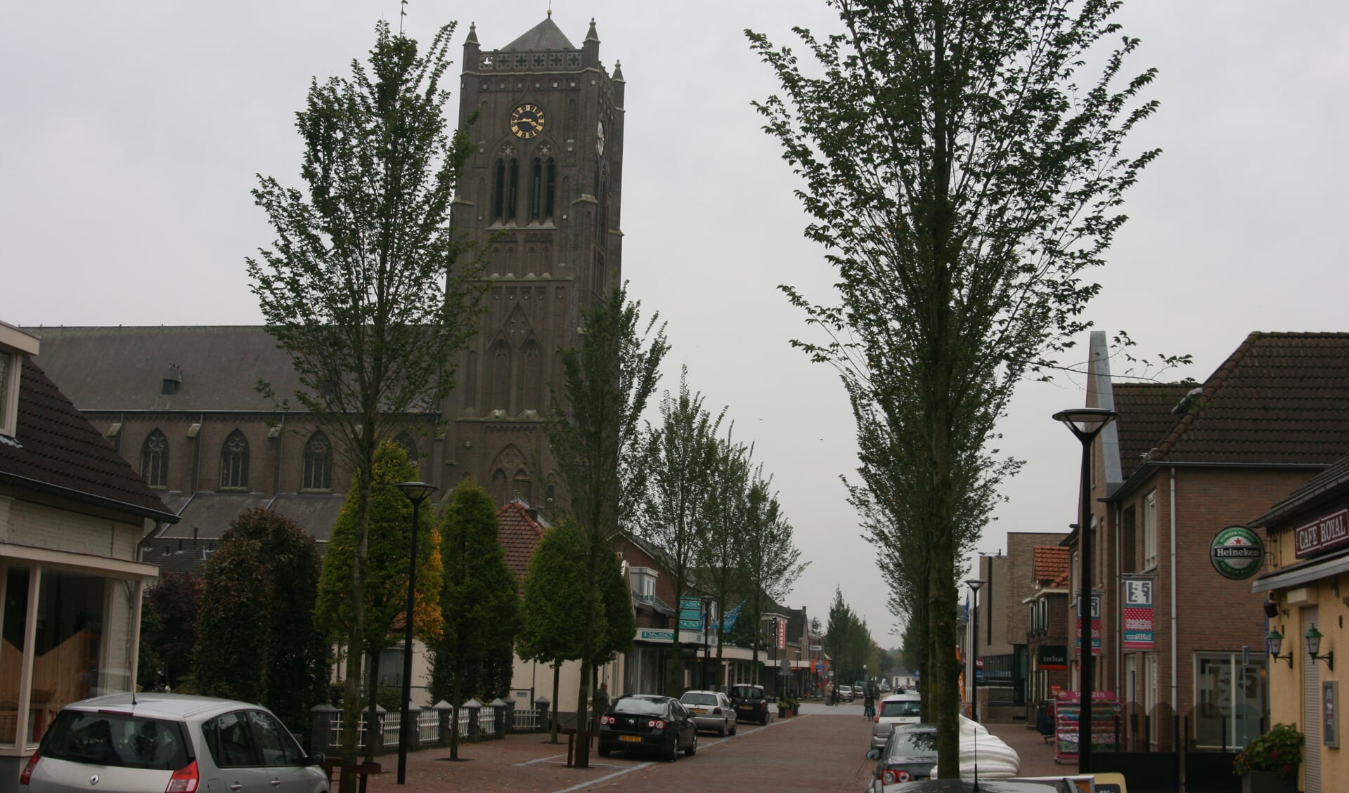 De gemeente Mill en Sint Hubert gaat scheef gewaaide bomen herstellen.