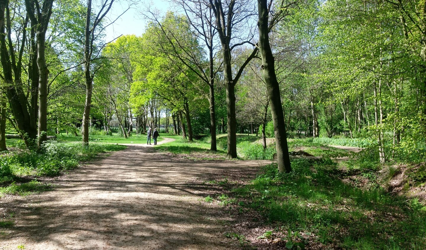 Het wandelbos (bospark) in Haps dat zondag wordt geopend.