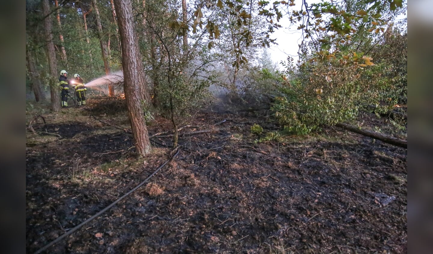De brandweer blust een gedeelte van de bosbrand ( Foto's : Maickel Keijzers / HendriksMultimedia )