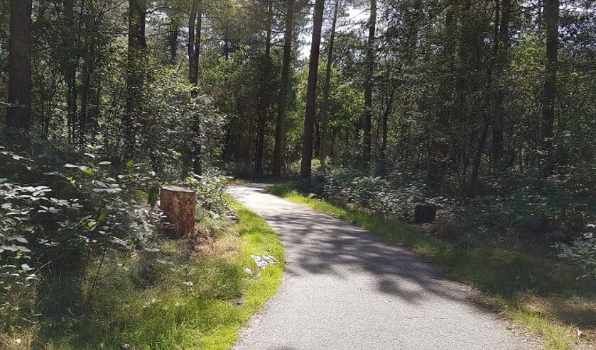 Het slachtoffer heeft deze man gezien toen zij al joggend het bosgebied in ging en later weer verliet.