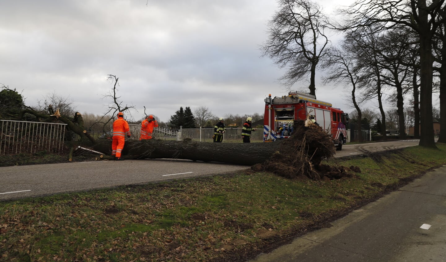 Op de Milseweg in Beers waaide een boom om. (Foto: SK-Media.)