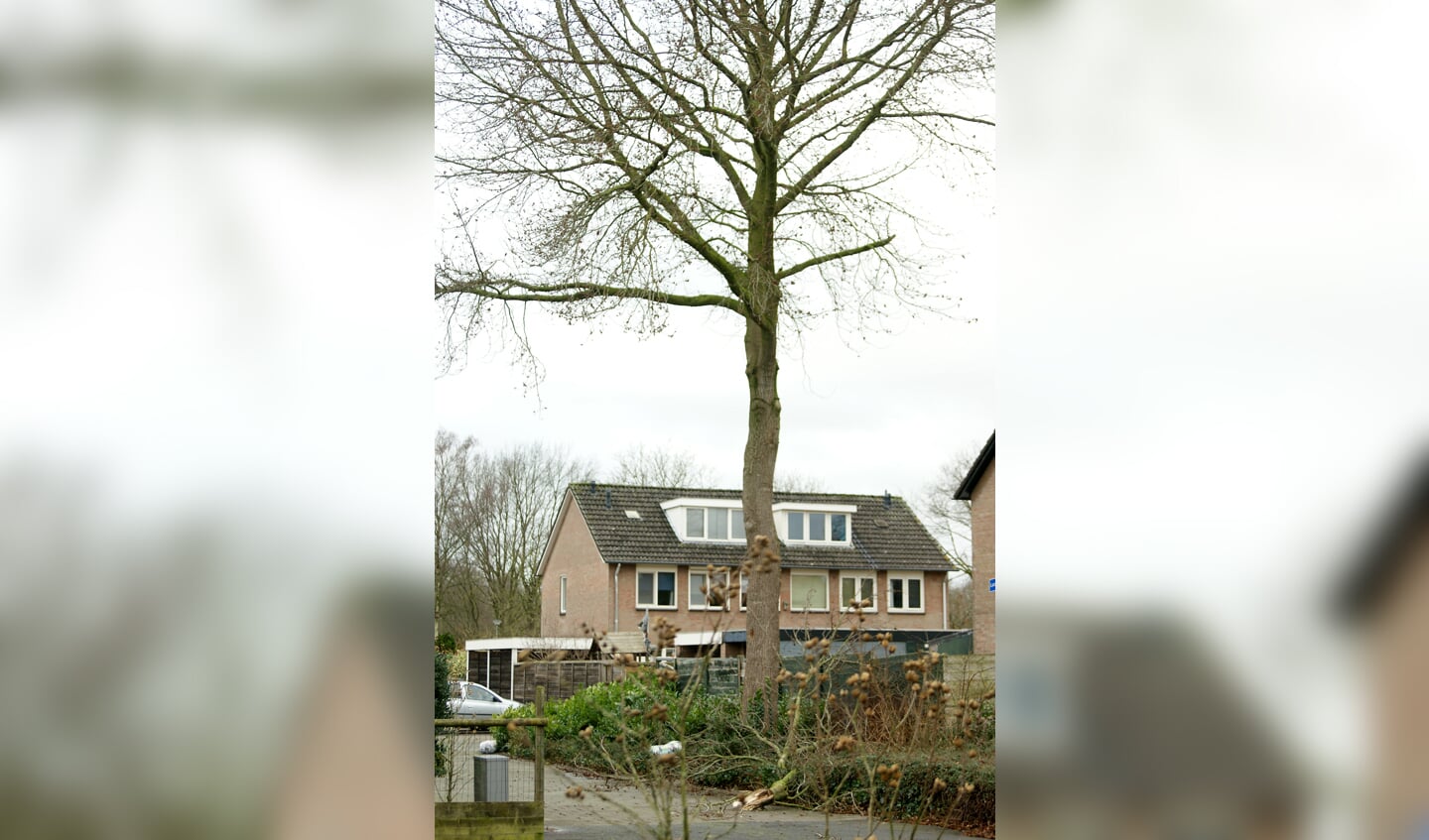 Takken braken af van bomen in Boxmeer. (foto: Jeff Meijs)