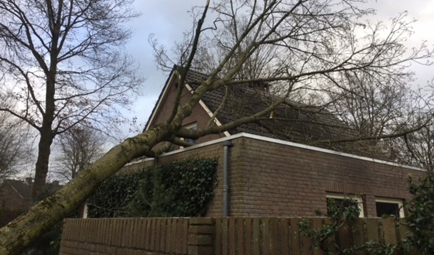 Stormschade in de Kasteleinstraat. (Foto: Joost Roex)