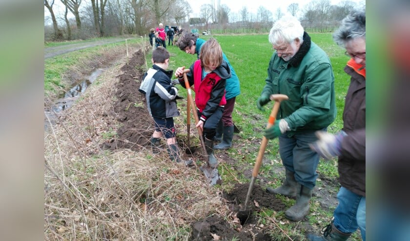 Kinderen hebben maasheggen geplant in Boxmeer