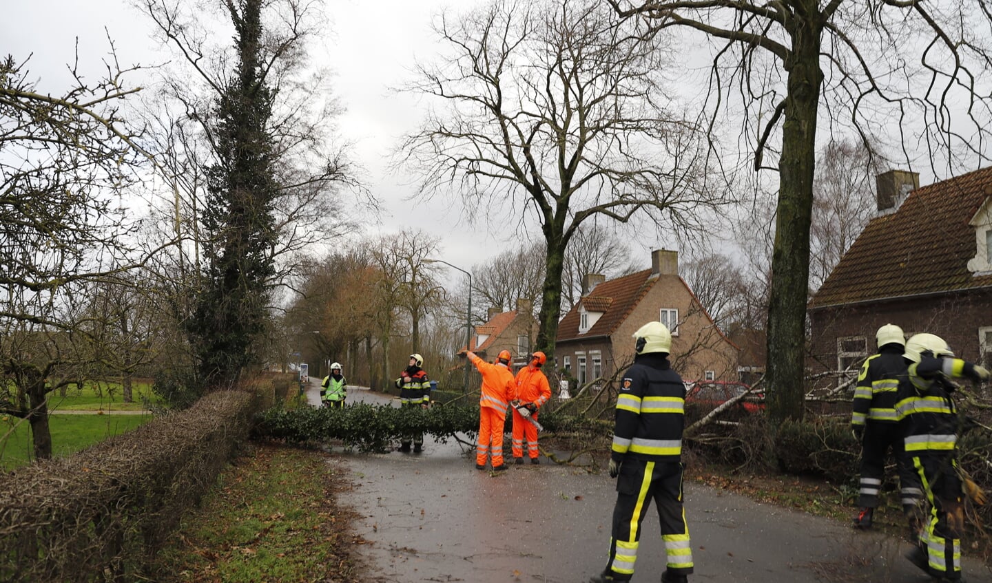 Op de Milseweg in Beers waaide een boom om. Foto: SK-Media.