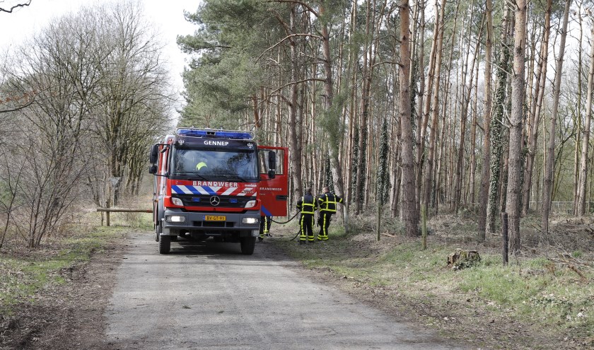 Foto: SK-Media.