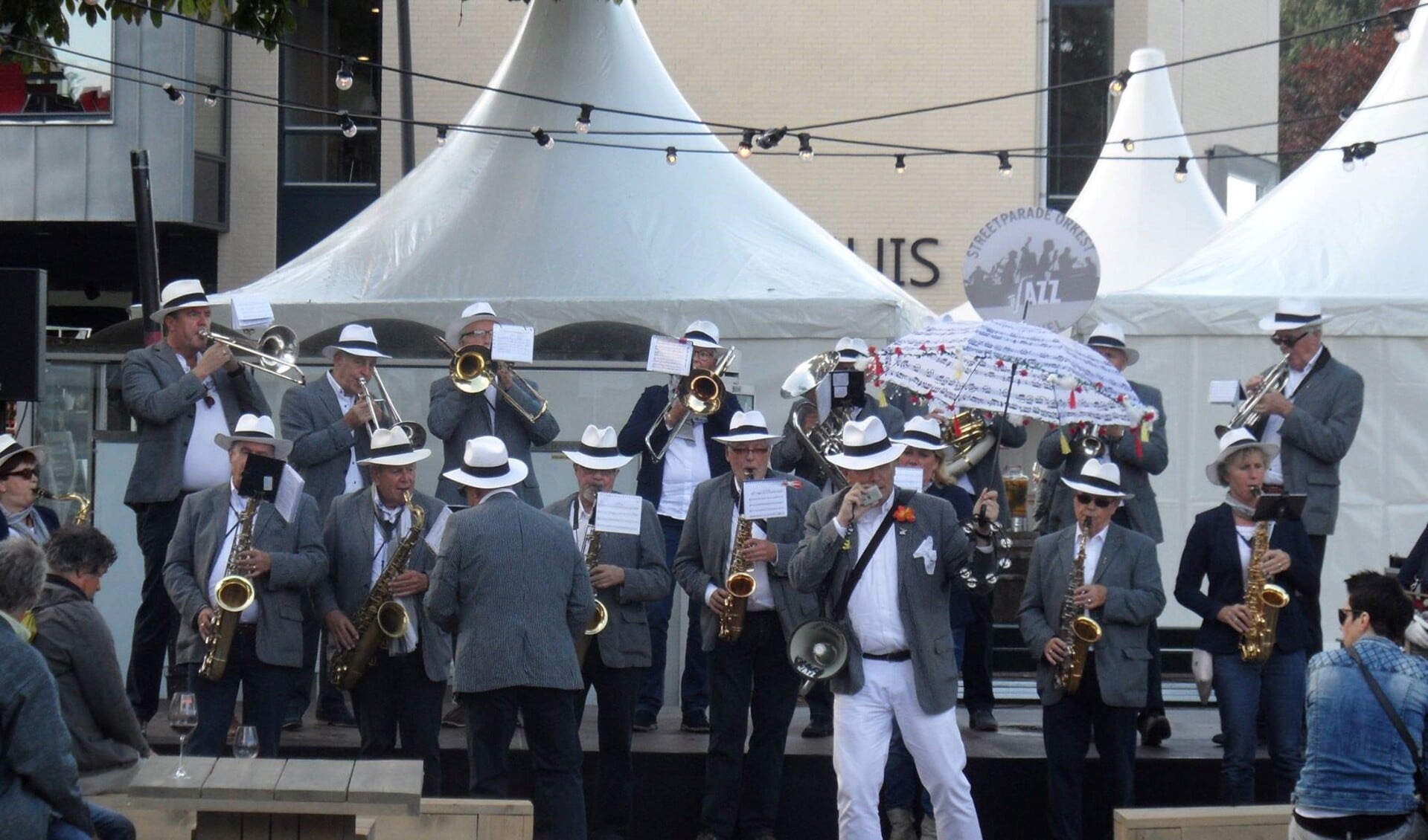 Het Streetparade Orkest is een bonte verzameling van Veghelse musici.