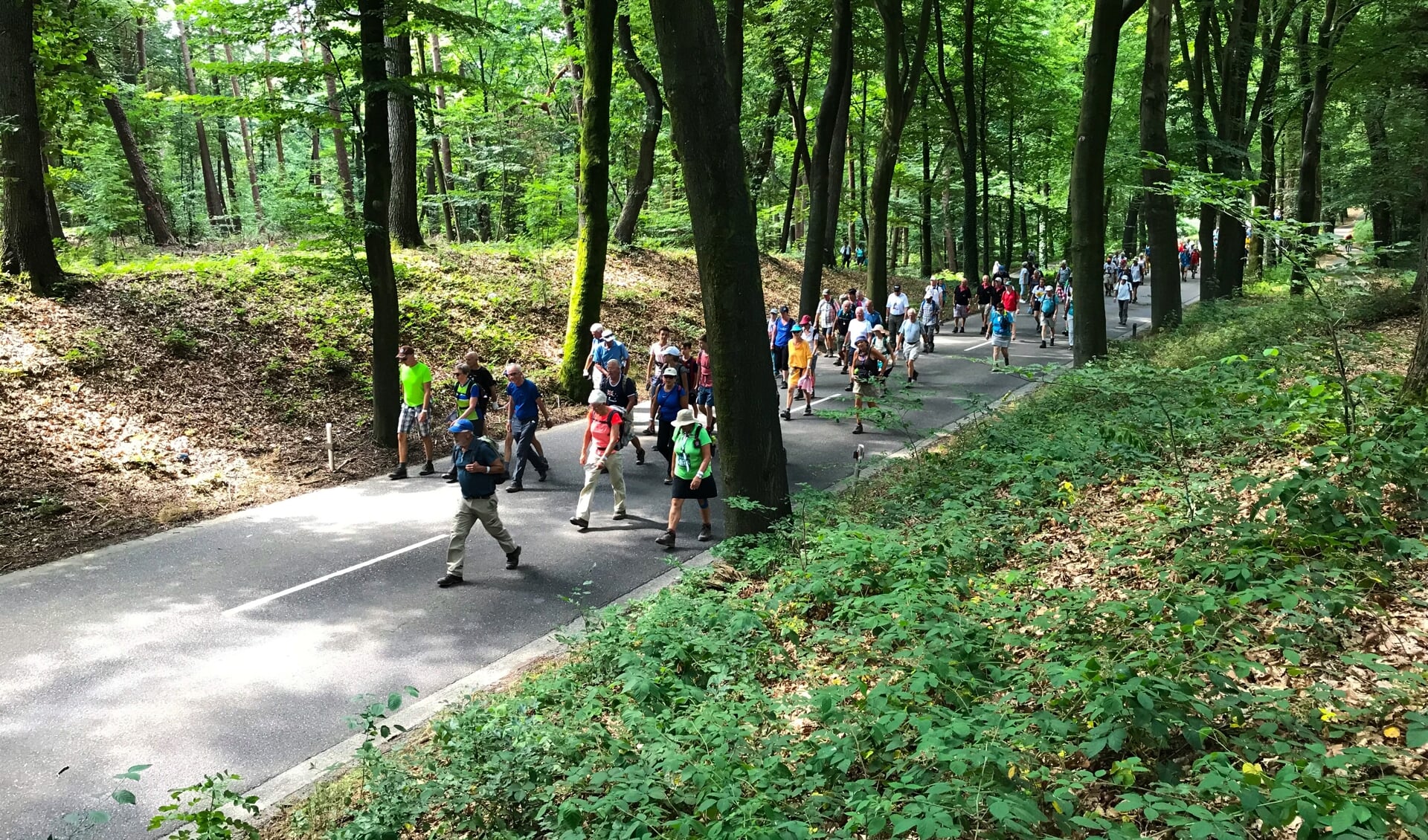 De wandelmars '80 Land van Cuijk' beleeft op zaterdag 18 mei 2019 haar eerste editie en trekt voor een groot deel door de prachtige natuur van het Land van Cuijk. (foto: Robèrt Cooijmans)