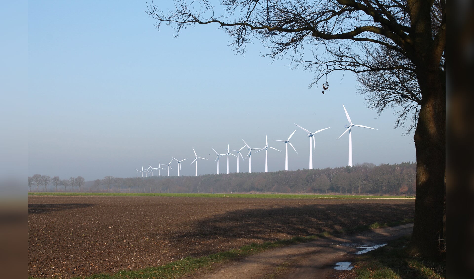 Een samenwerkingsverband van vier in Veghel gevestigde bedrijven wil een windpark met minimaal vier windturbines.