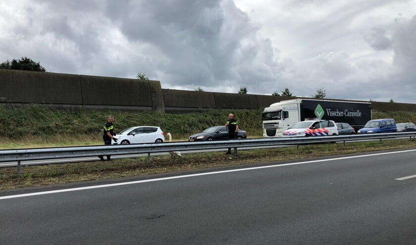 De politie heeft een zwaan 'aangehouden'.