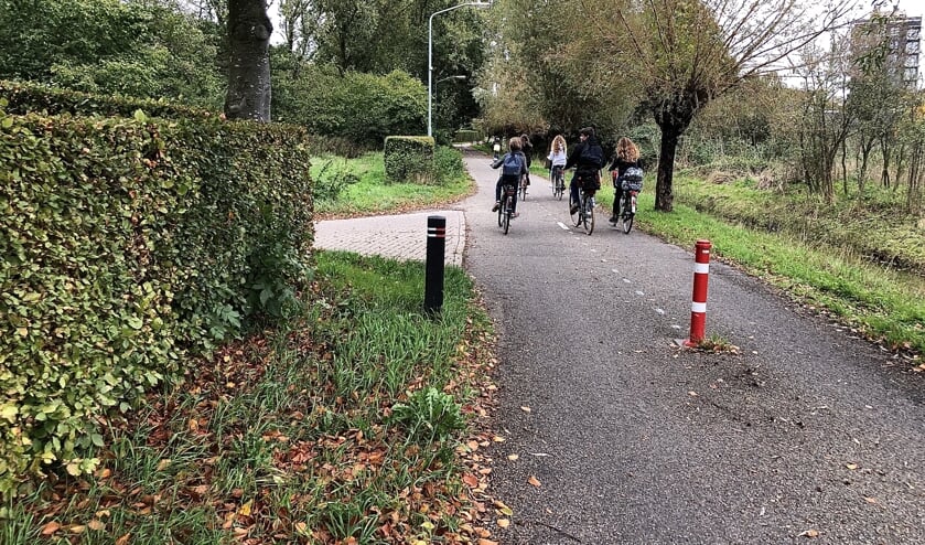 Alleen het stukje vanaf het rode paaltje tot aan de Vorstenbosscheweg is voorzien van wegmarkering. Te weinig volgens sommigen.